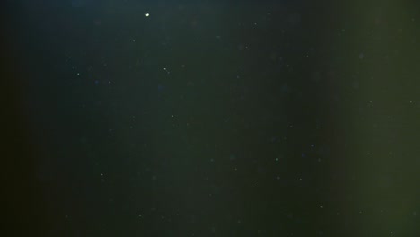 dust particles floating in green space, slow motion 4k