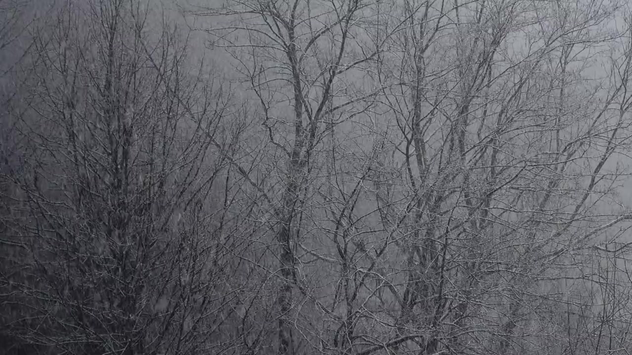Blizzard in the winter.