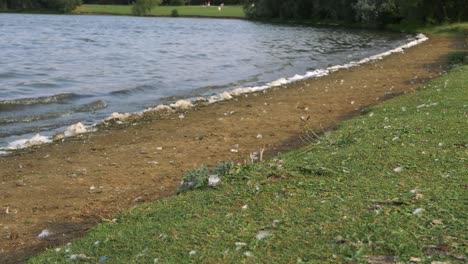 lake in park with sand and grass shore wide shot