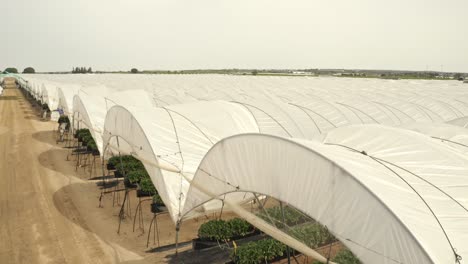 aerial footage of large greenhouse farms in spain