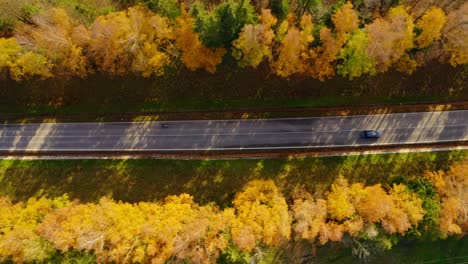 bird's eye view over countryside road with vehicles traveling in autumn - drone shot