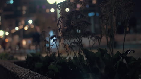 Menschen-Auf-Der-Straße-Am-Abend-In-Tel-Aviv,-Israel