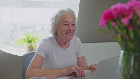 senior woman having video call on laptop.