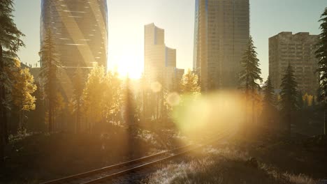 skyscrapes and the forest park at sunrise