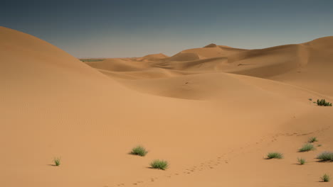 merzouga in the sahara desert in morocco