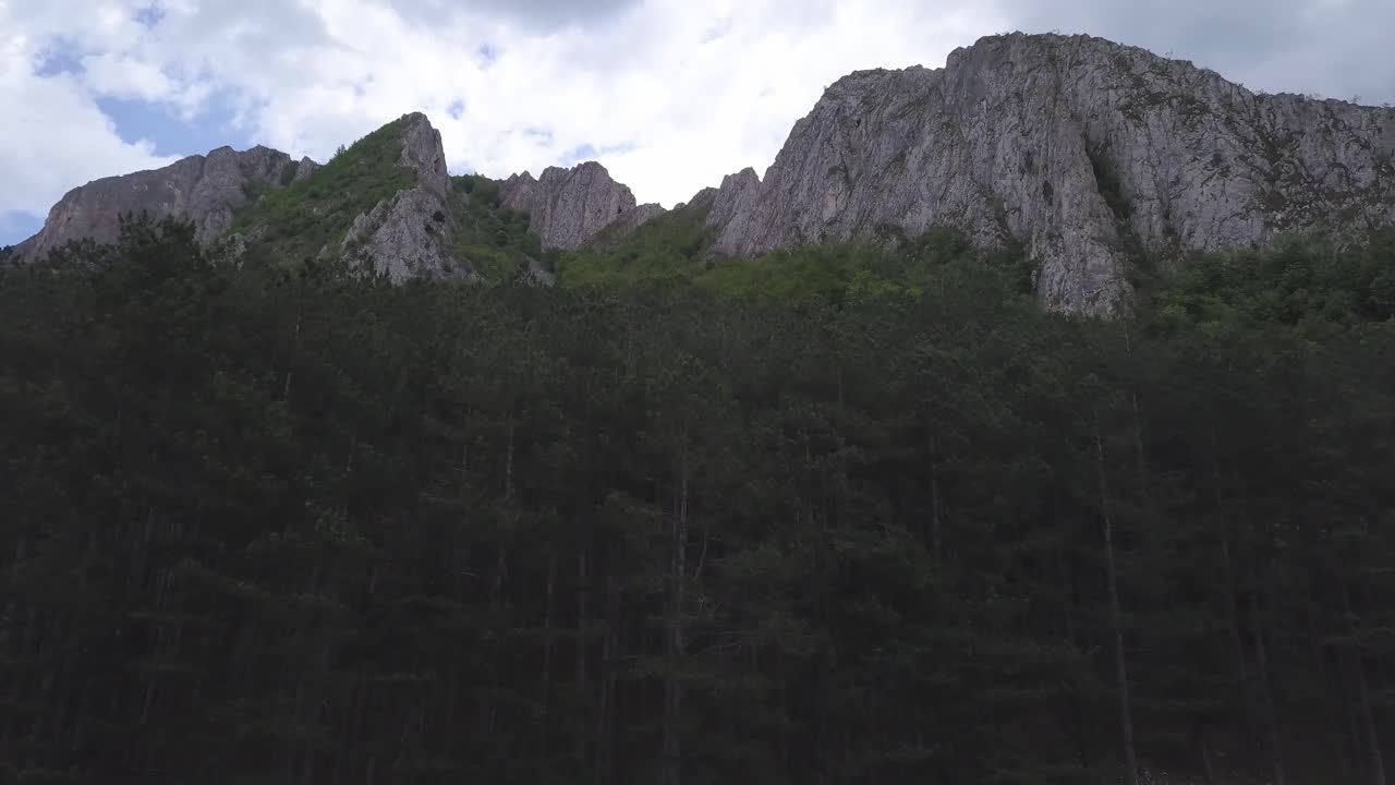 Drone Footage Of Green Forested Meadow With Rocky Mountains In Background