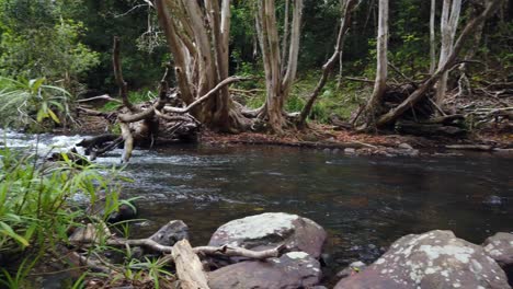 Arroyo-Que-Fluye-Siguiendo-El-Agua-Corriente-Abajo-A-Cámara-Lenta