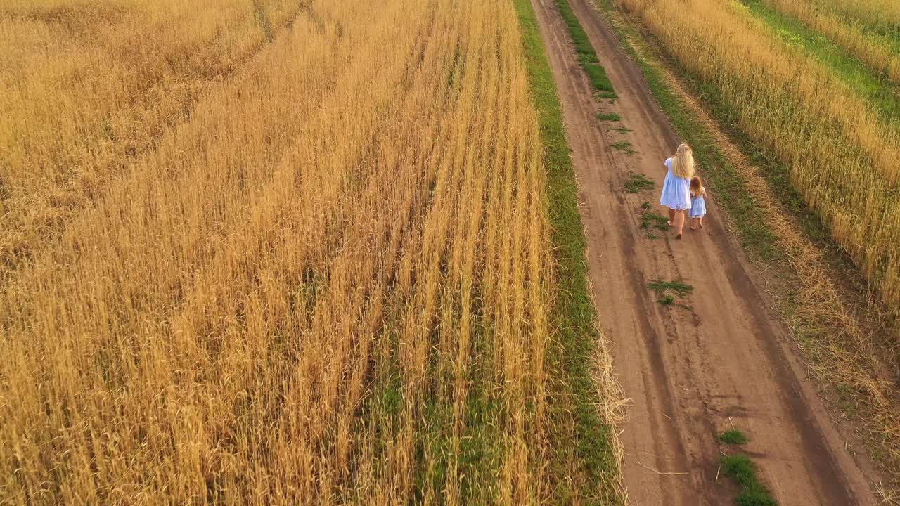 Girls Walking on a Country Road Through a Golden Wheat Field