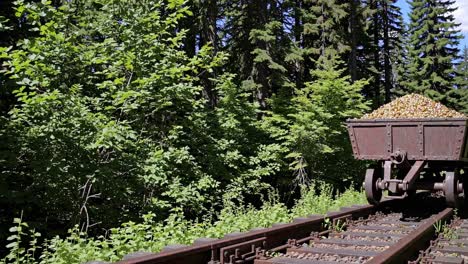 vintage mining cart on rails in forest