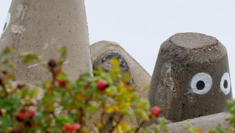 tetrapods on sylt are stored on land