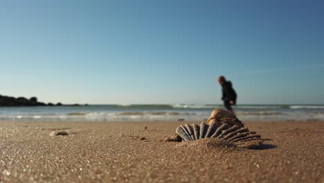 unrecognisable young child wearing hoodie chasing waves on golden sand beach, seashell in foreground