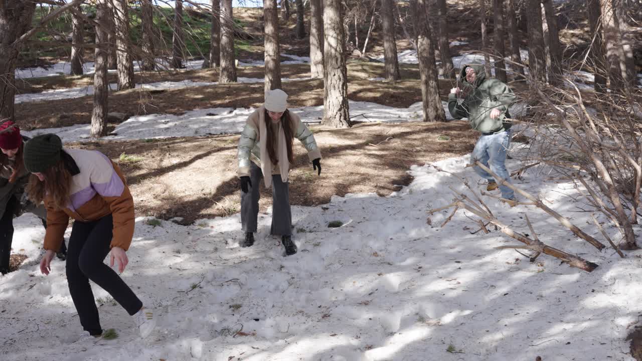 Snowball Fight in the Forest