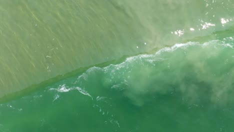 SLOW-MOTION-DRONE-SHOT-OF-A-RAY-SWIMMING-ON-THE-WAVES-IN-IXTAPA-MEXICO