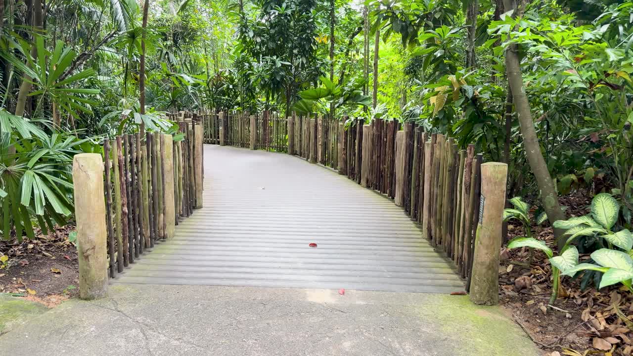 A first-person perspective camera moves forward along a wooden boardwalk through dense tropical greenery