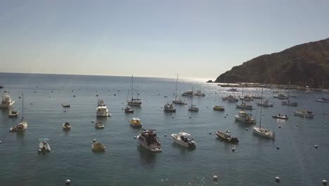 ships docked in local marina