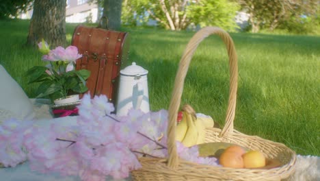 Bananas-oranges-papaya-in-picnic-basket-on-blanket-in-park-tilt