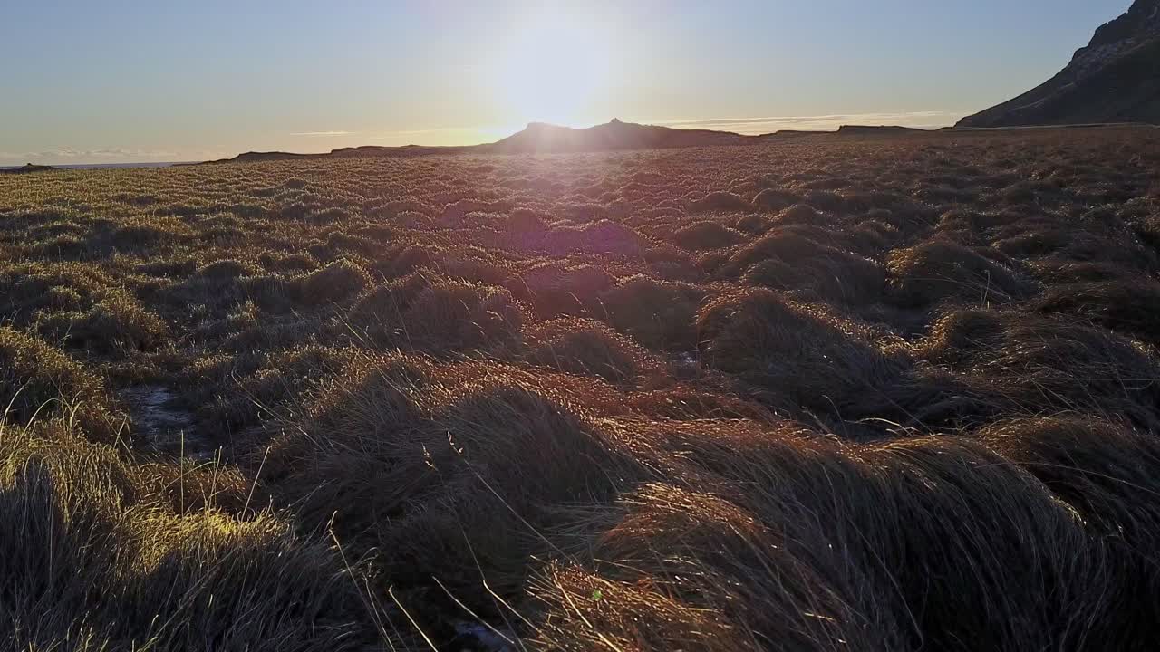 Scenic Landscape with Grass Shrubs in Iceland During Sunset, Low Drone Shot