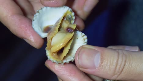 Eröffnung-Des-Thailändischen-Nachtmarktes,-Blutmuscheln-Mit-Der-Hand-Zum-Verzehr-Bereit