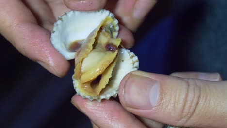 abriendo el mercado nocturno de tailandia almejas de sangre con la mano listas para comer