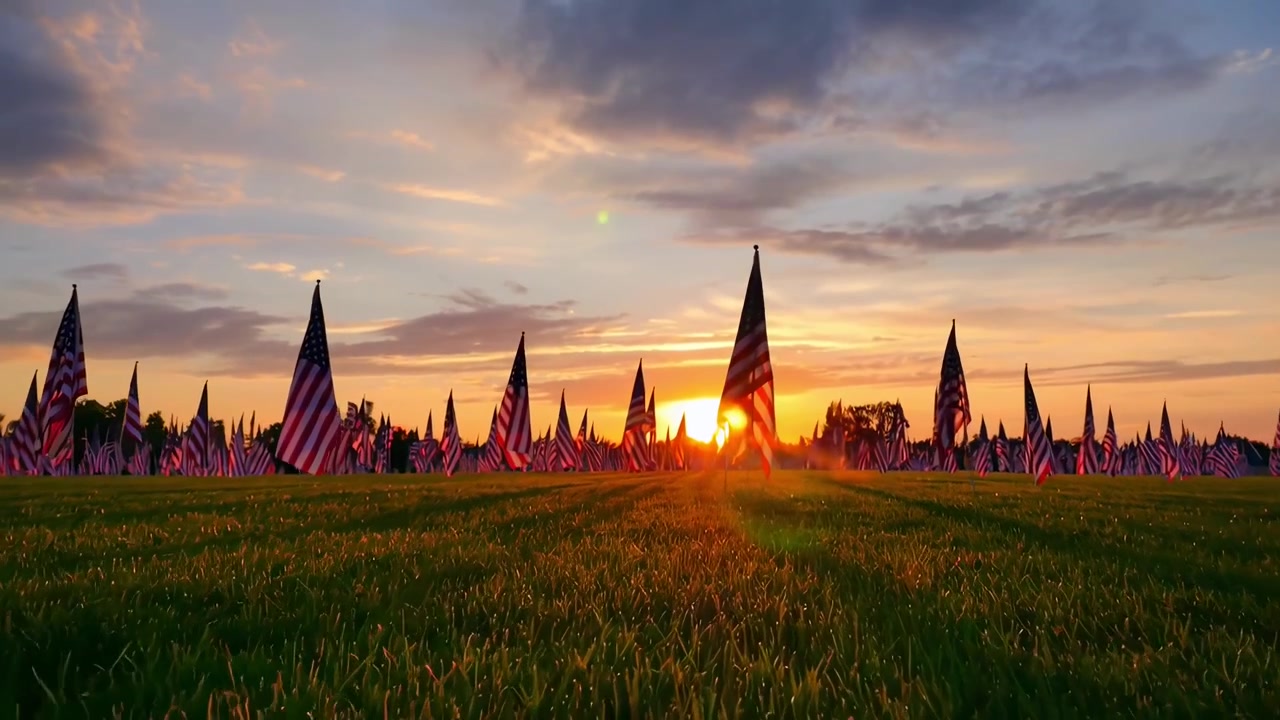 Bandiere Americane esposte in un campo al tramonto