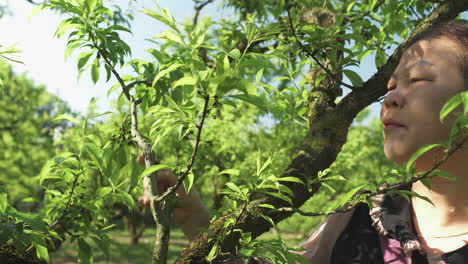 close-up portrait of a young asian woman speaking near a plum branch with green fruit buds.