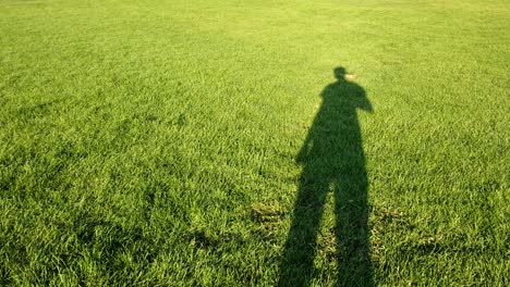 shadow of man walking on grass