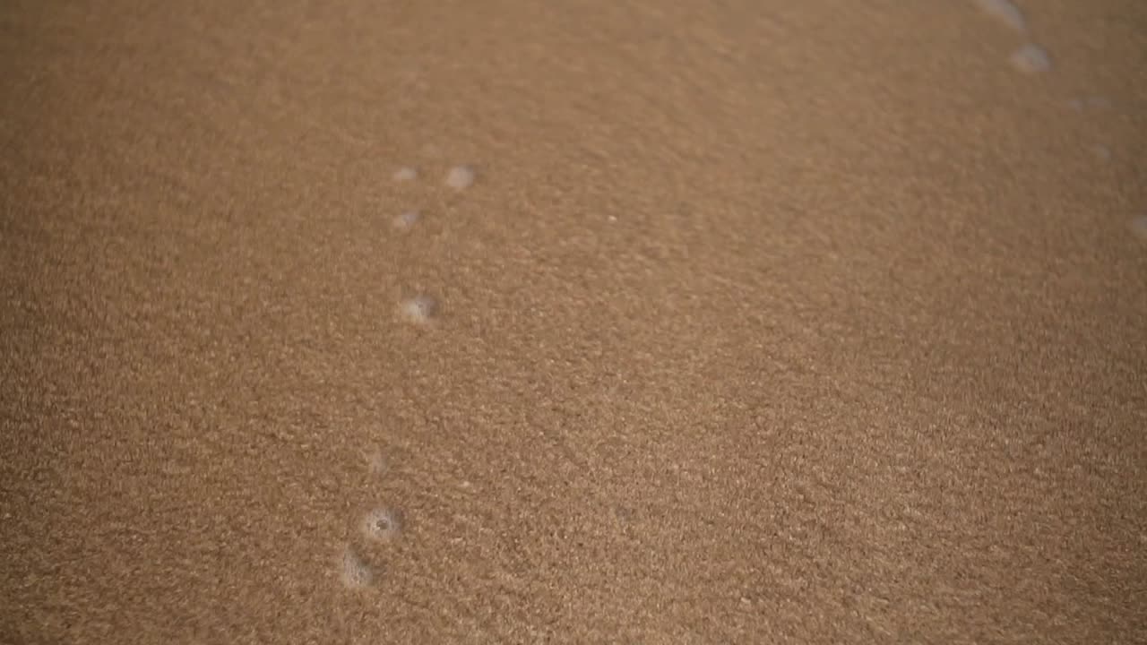 Extreme close up of ocean wave under sun light in the summer. Yogyakarta beach sea, Indonesia.