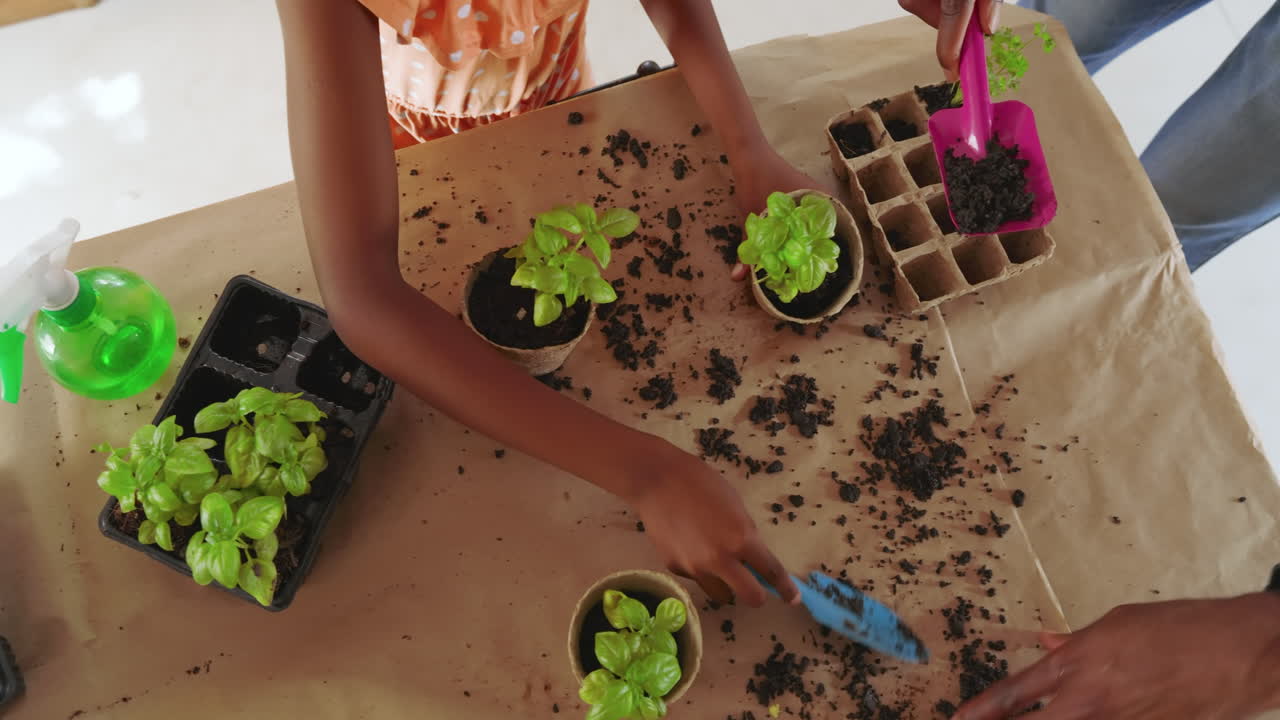 Diverse family gardening, planting herbs together at table, enjoying quality time outdoors, at home