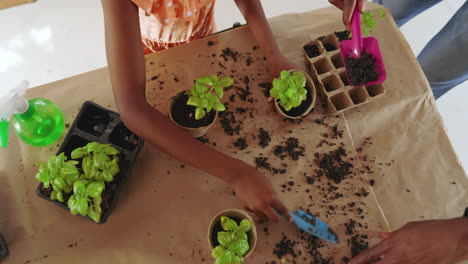 diverse family gardening, planting herbs together at table, enjoying quality time outdoors, at home