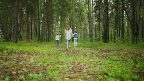 rear view of mother and two kids walking into lush green forest surrounded by tall trees, wearing casual clothing, exploring nature together on calm woodland trail with grassy ground