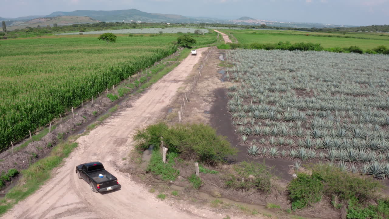 Ripresa aerea con drone su campi di agave e terreni coltivati accanto a una strada sterrata con auto, che rivela una valle rurale, montagne distanti e un corso d'acqua in una giornata di sole