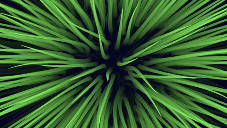 abstract green flower on dark space