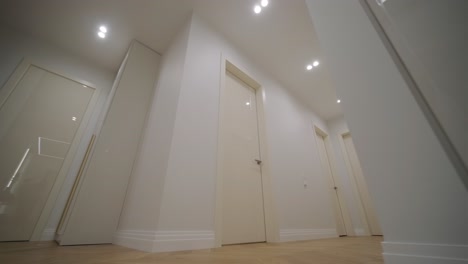 modern hallway featuring crisp white doors, elegant recessed lighting, and warm wooden herringbone flooring, creating a sleek and inviting transition space