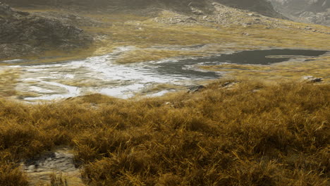 grassy field with stream in nepal