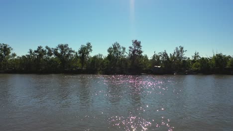 pantano petit galliou cerca de chauvin, luisiana