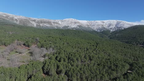 vuelo ascendente con avión no tripulado en un sistema montañoso con picos cubiertos de nieve con exuberantes bosques de pinos y un prado verde con árboles sin hojas en una mañana de invierno con un cielo azul y en ávila, españa