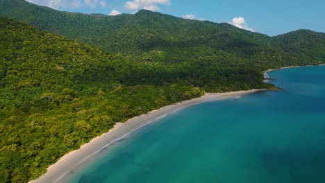 playa tropical de la selva tropical de daintree, tribulación del cabo, australia