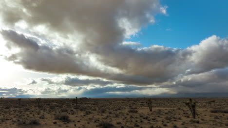 nubes de tormenta dramáticas sobre un bosque de árboles de joshua en el desierto de mojave - sobrevuelo aéreo deslizante