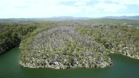 Imágenes-Aéreas-Sobre-La-Entrada-De-Mallacoota-Del-Dosel-Del-Bosque-De-Eucaliptos-En-Recuperación-Un-Año-Después-Del-Incendio-Forestal