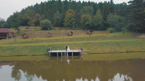 groom with bride near lake in the park. wedding couple. aerial shot