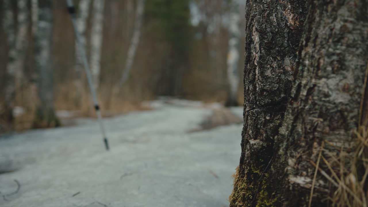 Woman hikes through forest, tree in foreground, slow motion