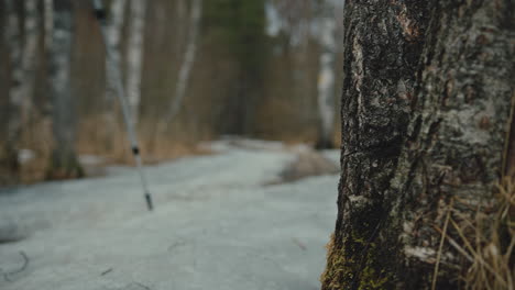 Woman-hikes-through-forest,-tree-in-foreground,-slow-motion