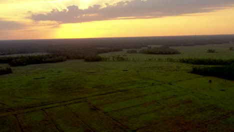 Aerial-tracking-view-of-the-countryside-of-Land-O'-Lakes-in-Florida-with-a-beautiful-orange-sky