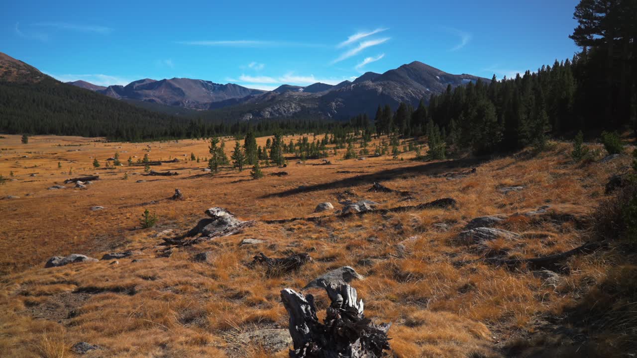 Tioga Pass plains Yosemite National Park West Portal entrance wilderness forest rugged rocky formation terrain California Lee Vining forest sunny blue sky Sierra Nevada Mountain nature pano pan left