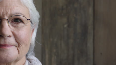 half face portrait of happy elderly woman smiling satisfaction looking at camera wearing glasses on wooden background