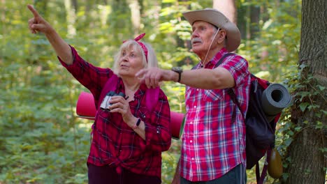 Senioren,-Großmutter,-Großvater,-Touristen-Wandern,-Reisen,-Erkunden-Den-Wald-Mit-Dem-Fernglas