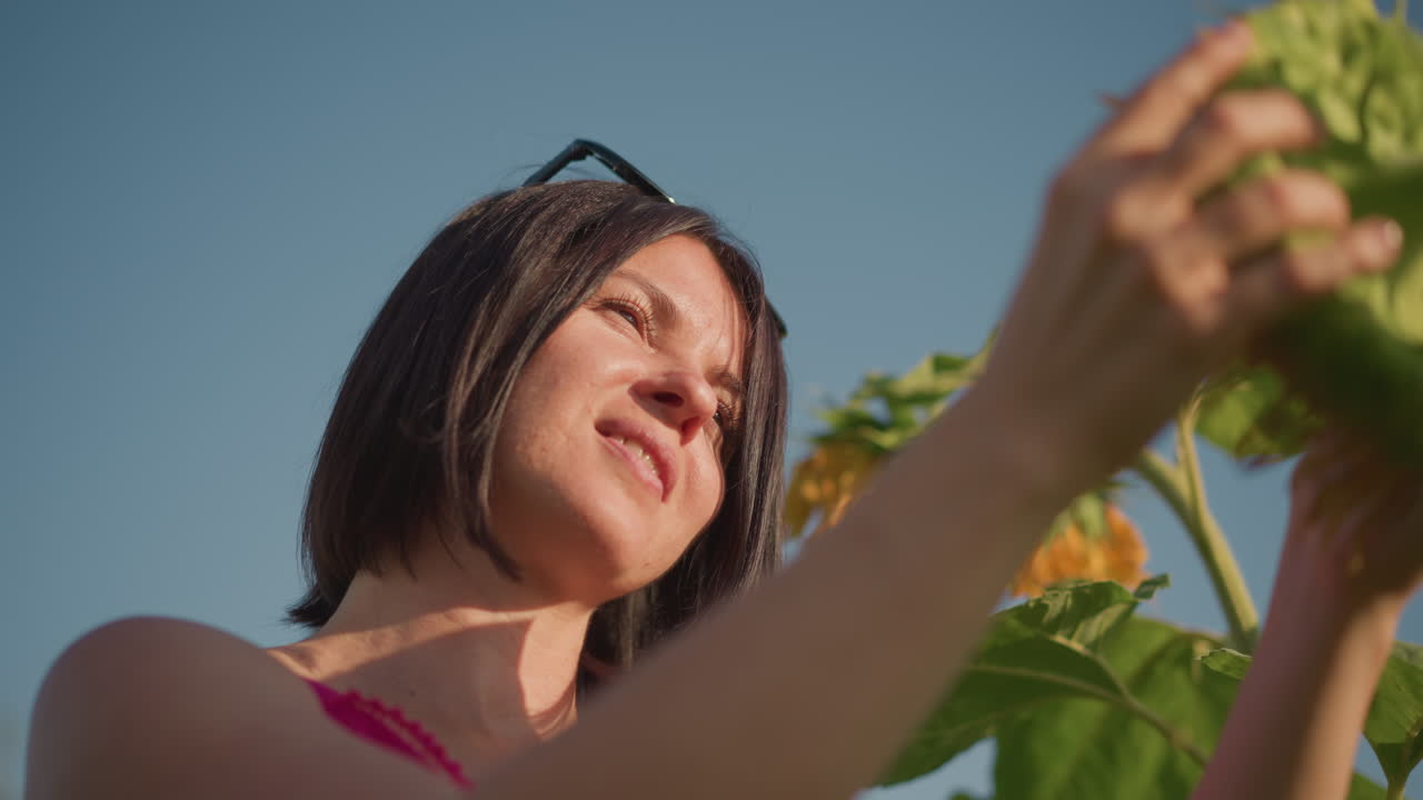 푸른 하늘을 배경으로 낮은 앵글에서 해바라기 성장을 관찰하는 백인 식물학자, 신중하게 손으로 측정하고 관찰하며, 현장 연구 분위기, 밝은 햇빛과 집중된 표정