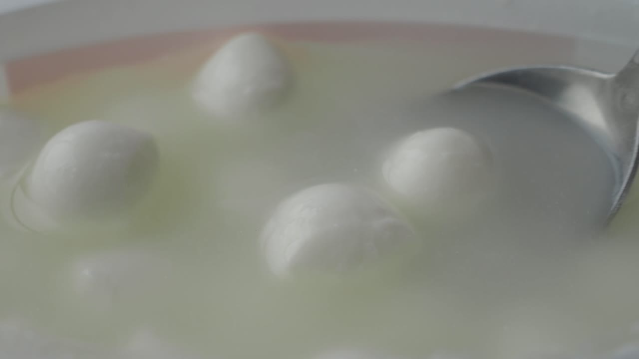 Fresh Mozzarella Bocconcini Cheese in Whey