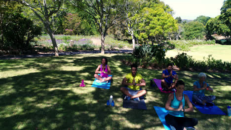Gruppe-Von-Menschen,-Die-Im-Park-Yoga-Praktizieren-4k