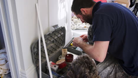 workman with pet dog choosing tool from toolbox